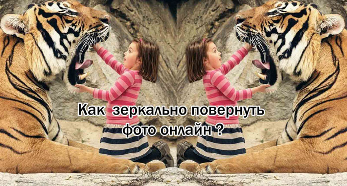 зеркальное отображение фото девочки с тигром