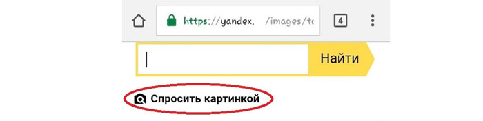 опция Спросить картинкой в Яндекс