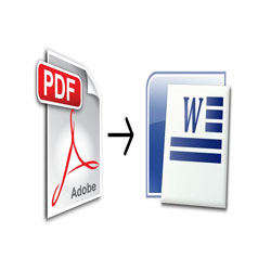 Как преобразовать PDF в Word — онлайн сервисы, программы