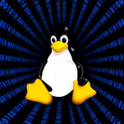 Как быстро проверить любую версию Linux в браузере, без установки
